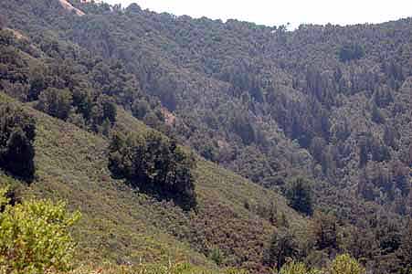 Mill Creek 042.jpg